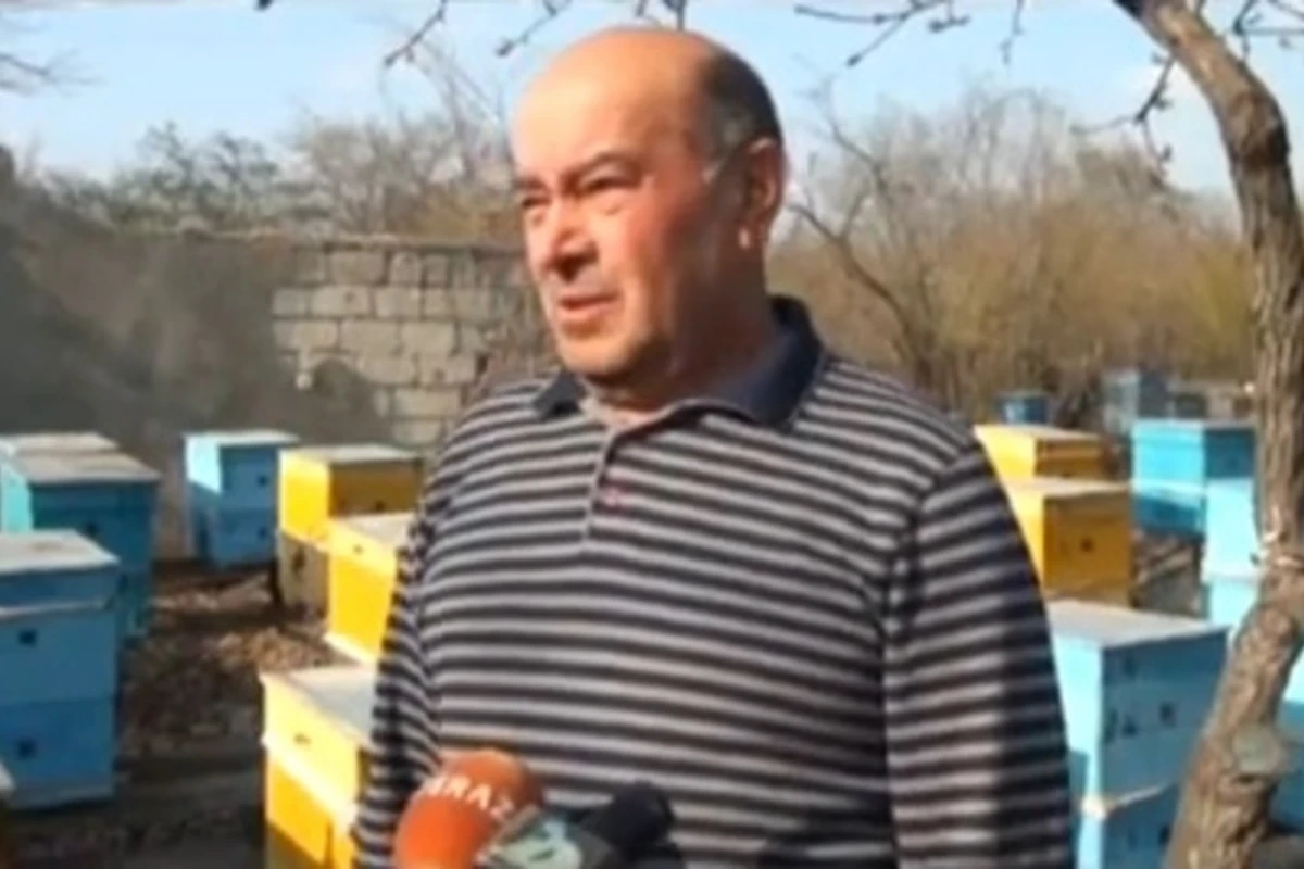 Раскрыт секрет появления религиозных слов на пчелином воске (видео)