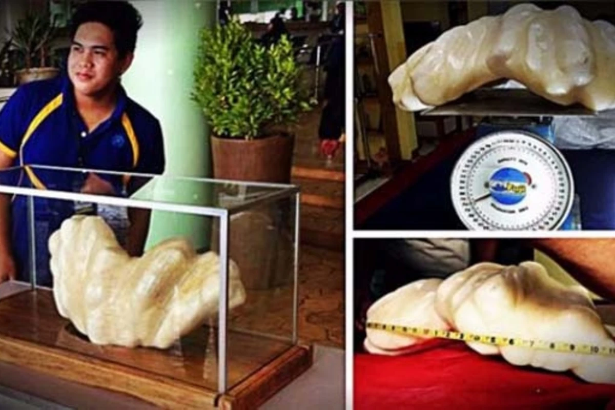 Kasıb balıqçı dünyanın ən böyük mirvarisini tapdı - qiyməti 100 milyon dollar (FOTO)