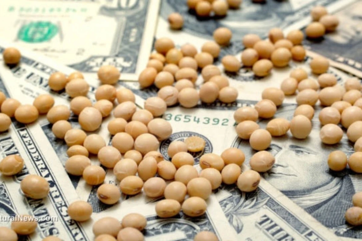 Продукт, который принесет Азербайджану валюту Продукт, который принесет Азербайджану валюту