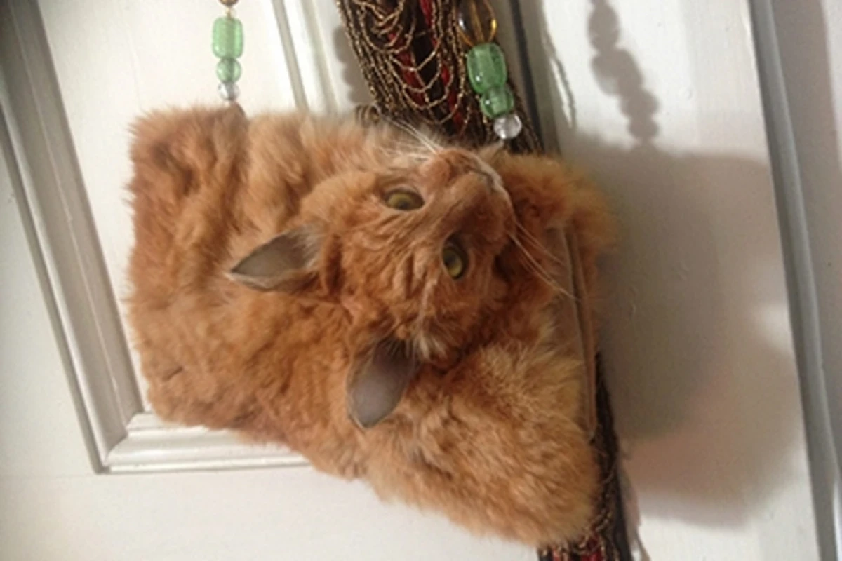 Клатч из кошки (фото)