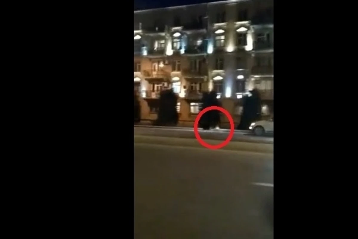 Разгуливавший по улице теленок вызвал переполох в Баку (видео)