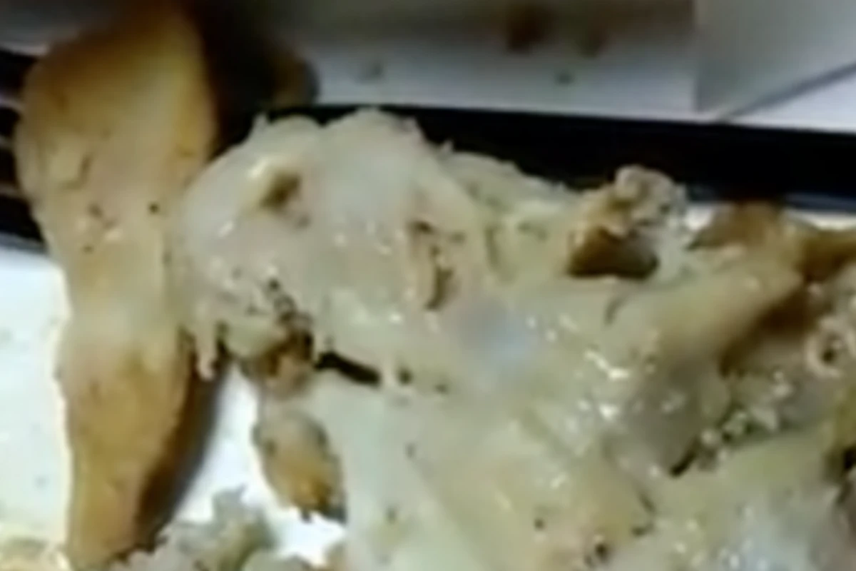 В мясе из KFC обнаружили личинки (видео)