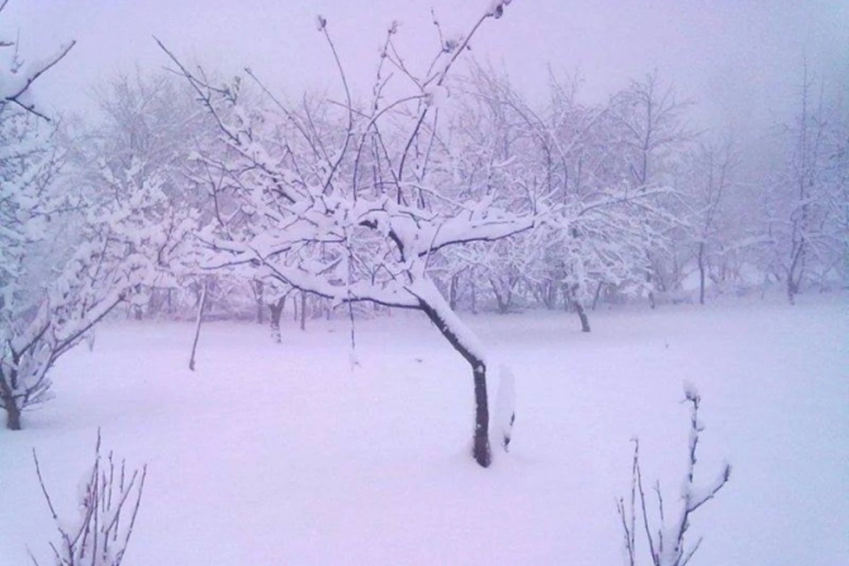 На юге Азербайджана выпало 10 см снега (фото)
