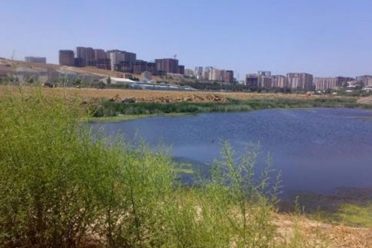 Bakının bu ərazisində 2 min ucuz ev tikiləcək Bakının bu ərazisində 2 min ucuz ev tikiləcək