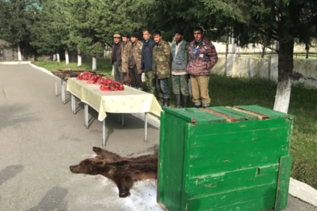 Sərhədçilər ayı balasını oğurlayan şəxsləri saxladı - FOTO