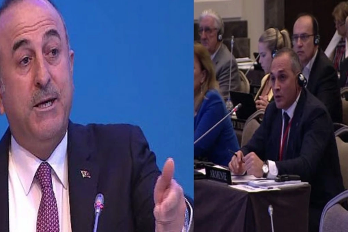 Çavuşoğlu erməni deputatı verdiyi suala peşman etdi: Qarabağı mən işğal etdim?