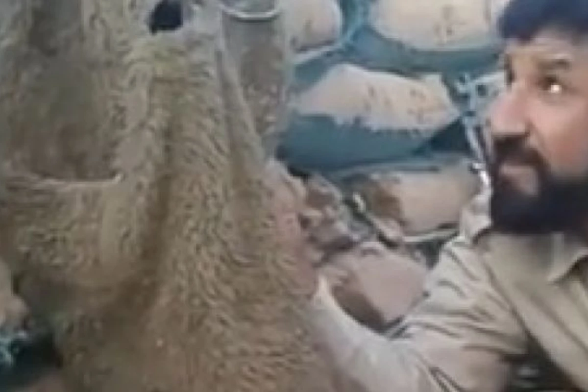 В Сети опубликовано видео, как мужчина дразнит снайпера (видео) В Сети опубликовано видео, как мужчина дразнит снайпера (видео)