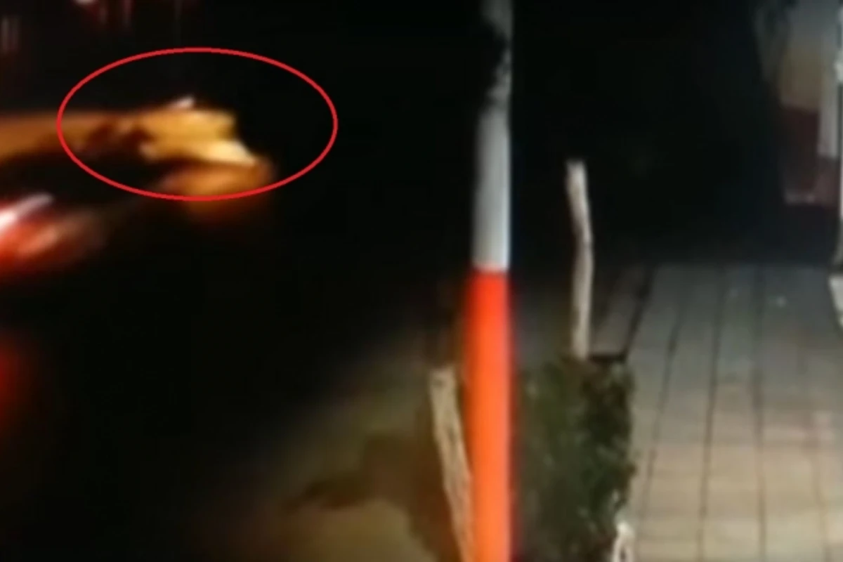 Azərbaycanda yol qəzası kameraya düşdü (VİDEO) Azərbaycanda yol qəzası kameraya düşdü (VİDEO)