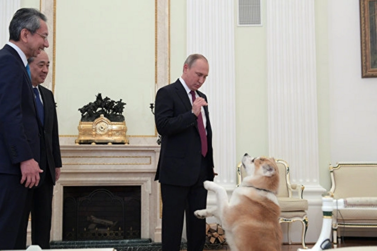 Putin itini jurnalistərə göstərdi (FOTO)