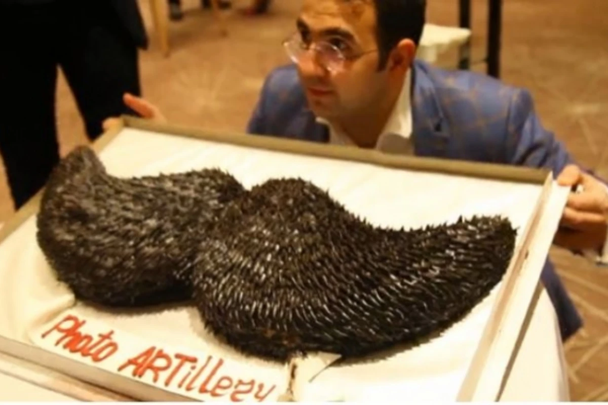 Photo ARTillery” şirkətinin Kick off Event ilk təqdimat mərasimi keçirildi (VİDEO)