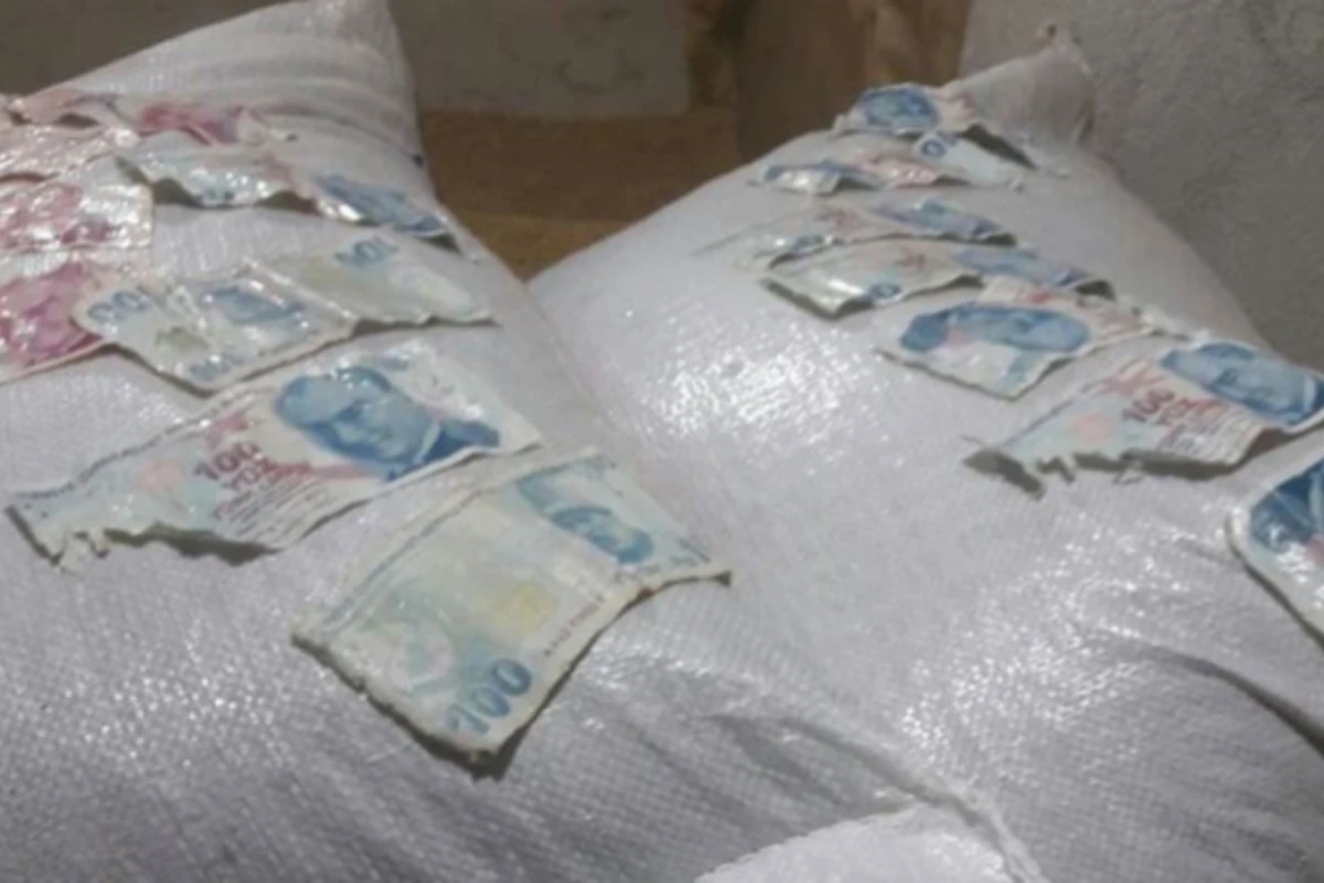 Kəsdiyi dananın mədəsindən bir paket pul çıxdı (FOTO, VİDEO)