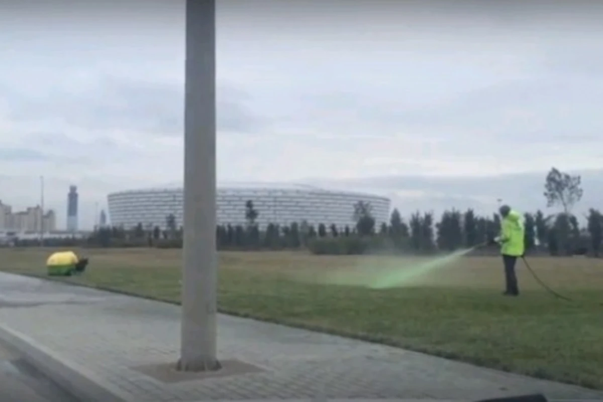 В Баку красят пожелтевшие газоны (видео) В Баку красят пожелтевшие газоны (видео)
