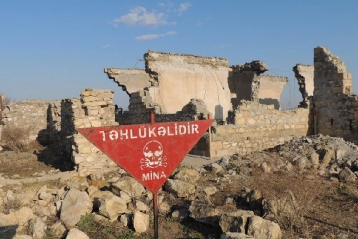Cocuq Mərcanlıya 3 milyon ayıran iş adamı Azərbaycana gəlir Cocuq Mərcanlıya 3 milyon ayıran iş adamı Azərbaycana gəlir