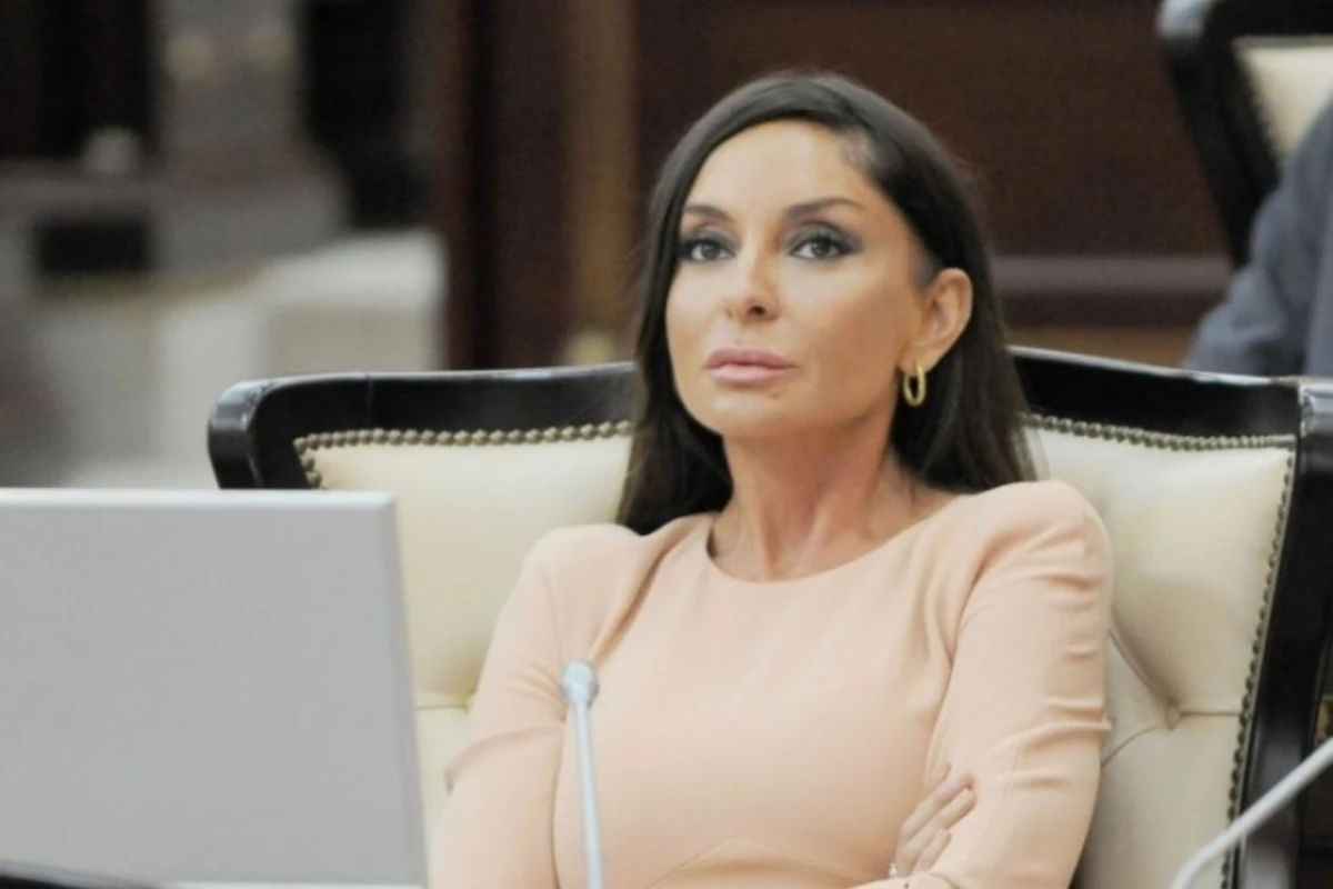 Депутатские полномочия Мехрибан Алиевой приостановлены
