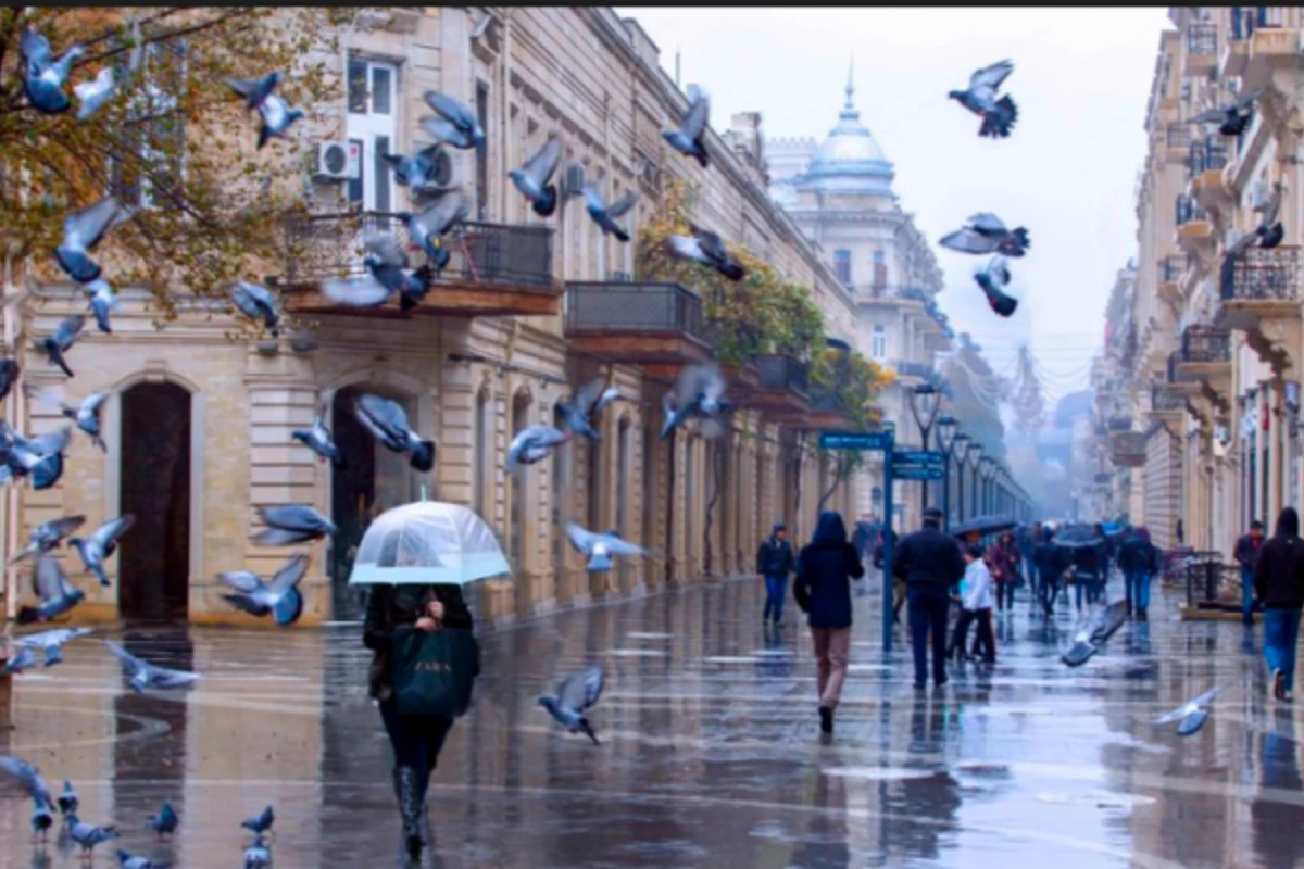 Прогноз погоды на завтра