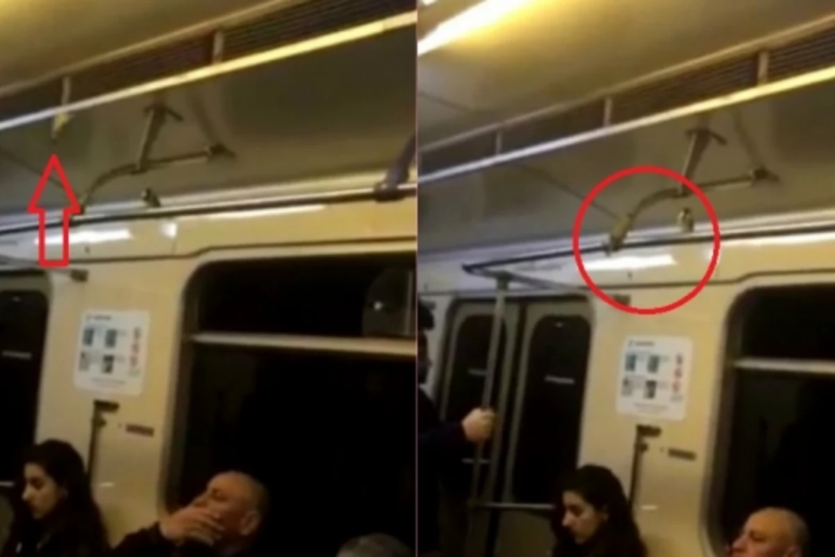 Bakı metrosunda sərnişinləri çaşdıran maraqlı hadisə (VİDEO) Bakı metrosunda sərnişinləri çaşdıran maraqlı hadisə (VİDEO)
