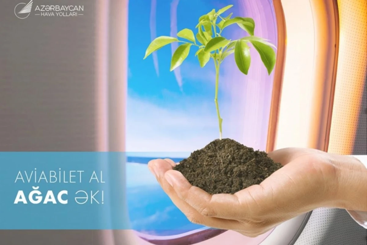 Купи билет AZAL - посади дерево!