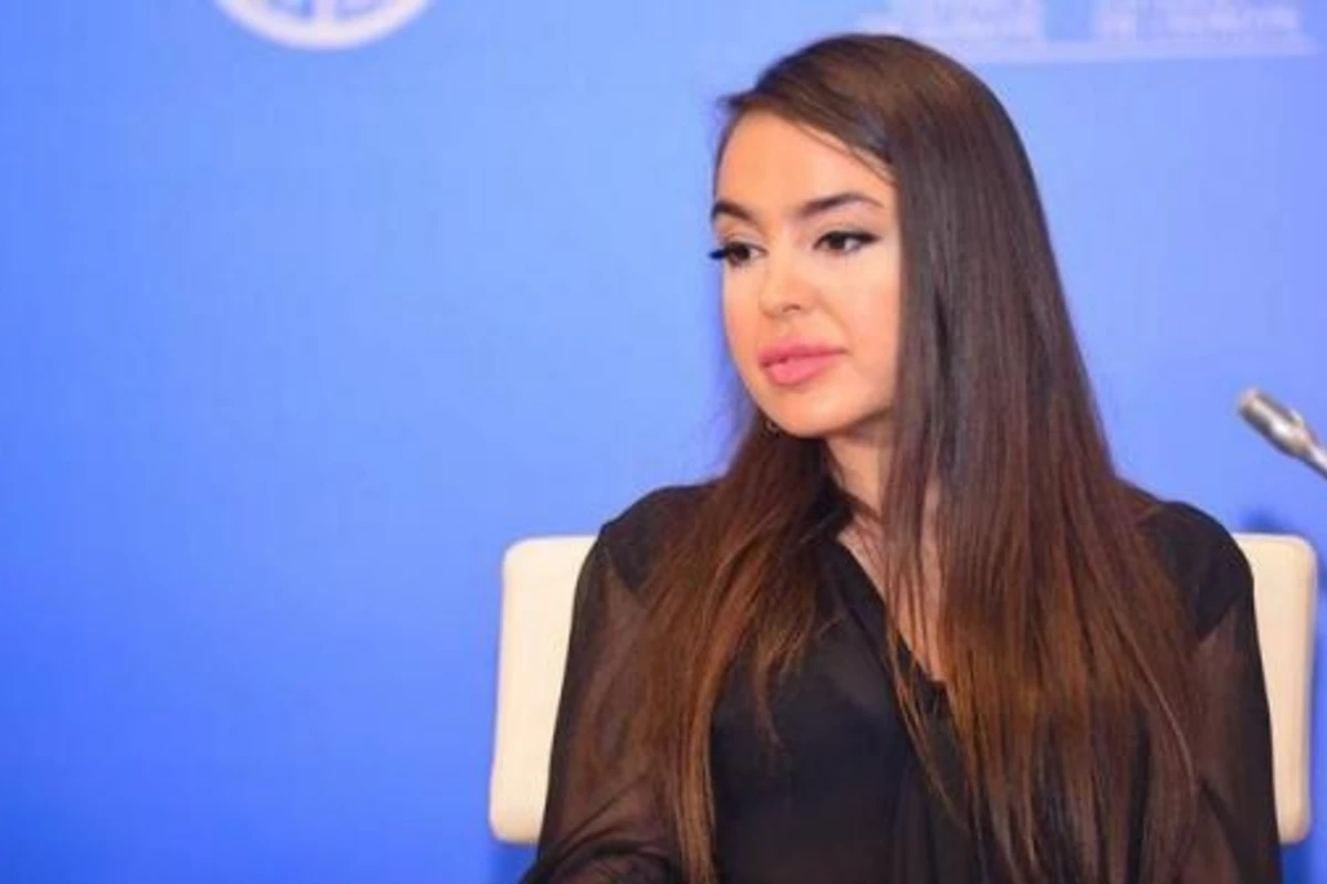 Leyla Əliyeva: Beynəlxalq ictimaiyyət buna səy göstərməlidir Leyla Əliyeva: Beynəlxalq ictimaiyyət buna səy göstərməlidir