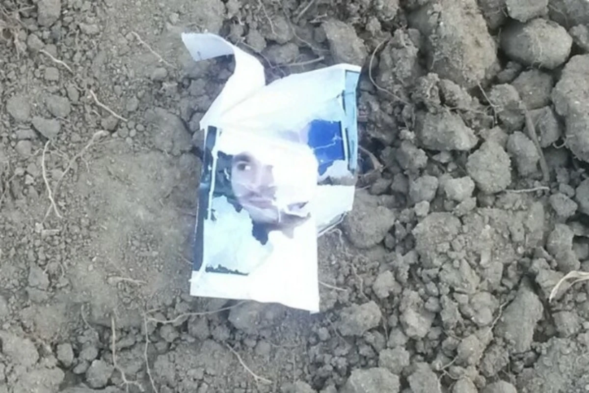 Найденное во дворе дома одной из семей в Баку ввергло всех в страх (видео) Найденное во дворе дома одной из семей в Баку ввергло всех в страх (видео)