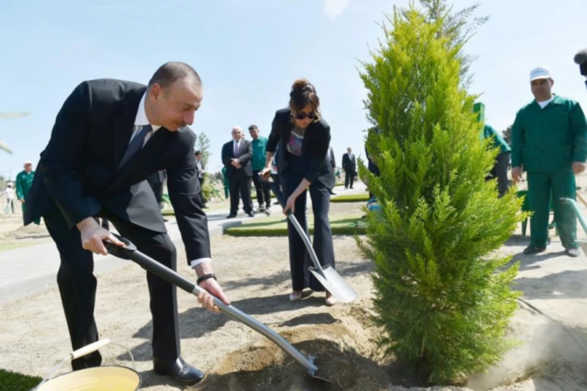 İlham Əliyev və Mehriban Əliyeva ağac əkdilər İlham Əliyev və Mehriban Əliyeva ağac əkdilər
