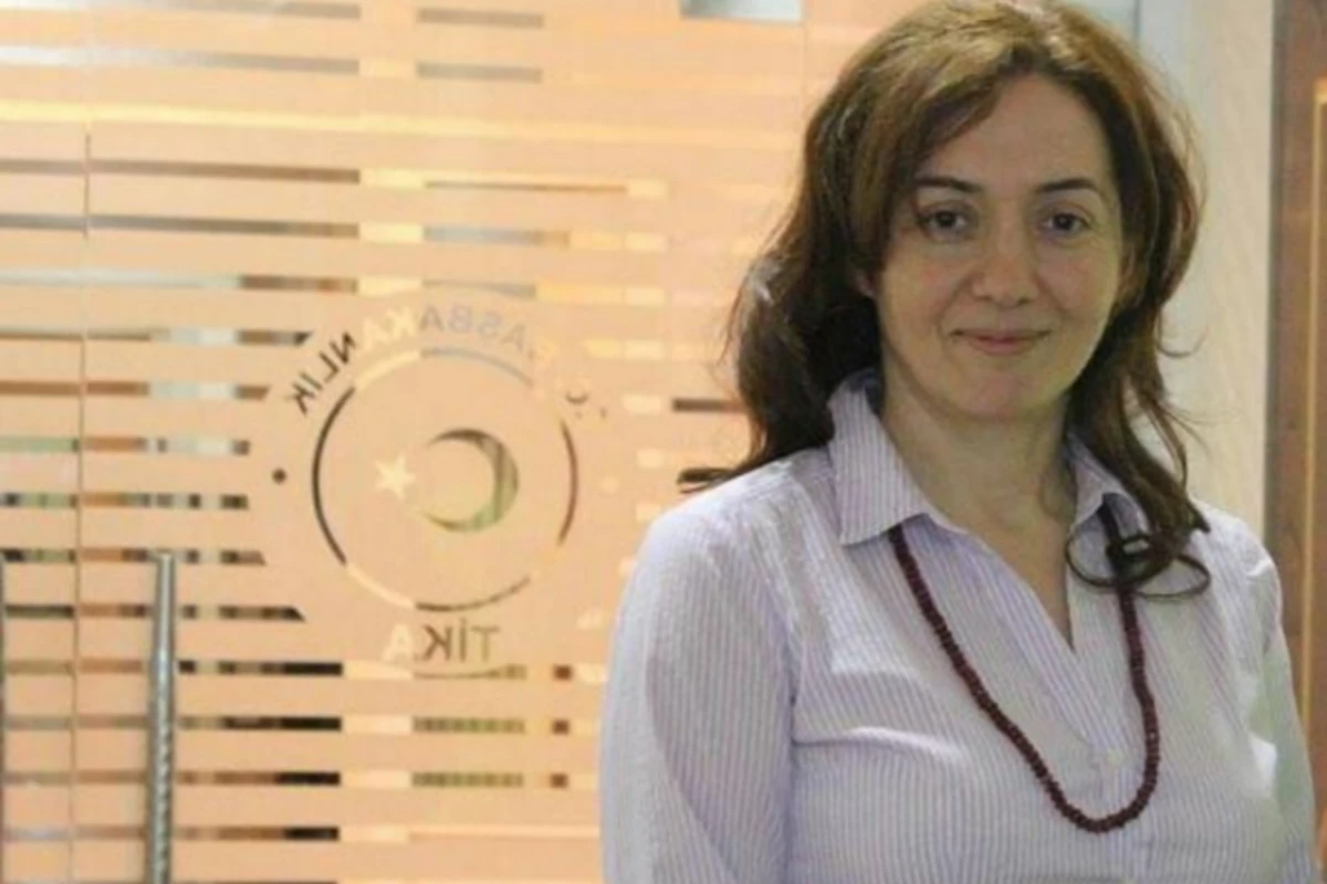 Aynur Kərimovaya vəzifə verildi