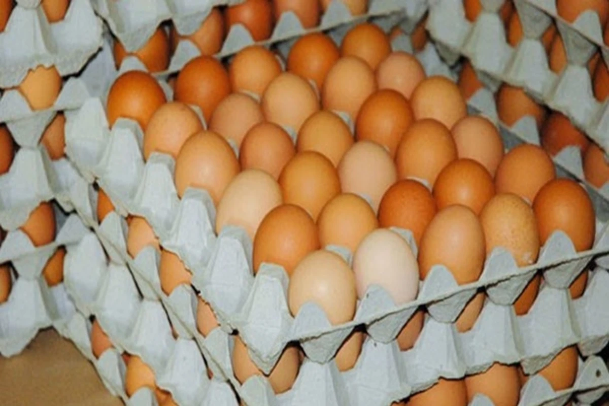 Toyuq yumurtası yenidən bahalaşır