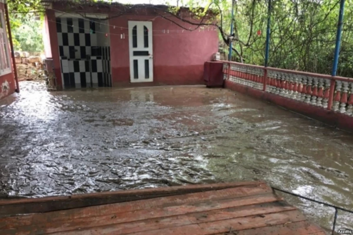 Mingəçevirdə evləri su basıb, heyvanlar tələf olub