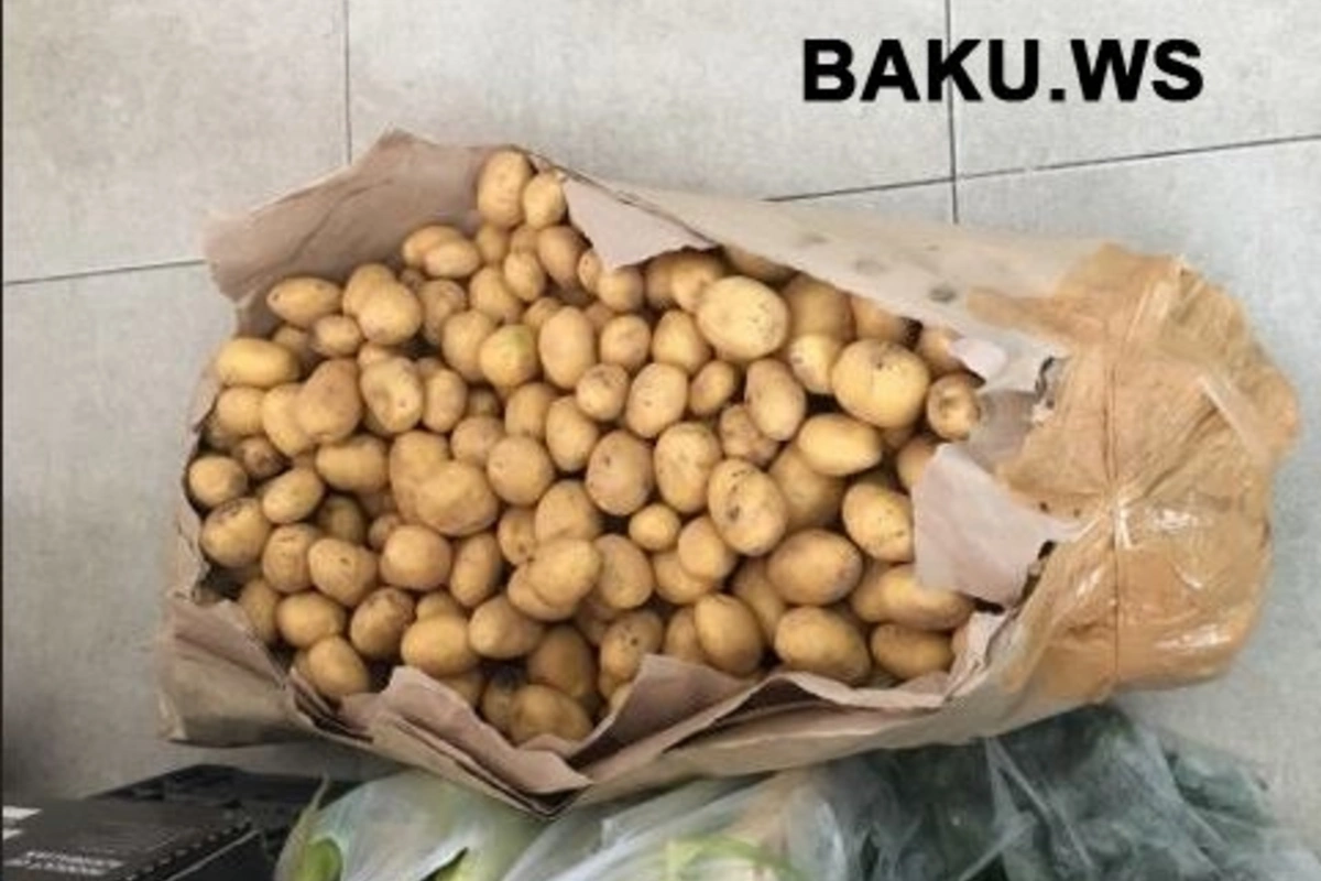 Azərbaycandan Rusiyaya göndərilən kartof: Xaricə keyfiyyətli, özümüzə niyə aşağı sort məhsul satılır? (FOTO)