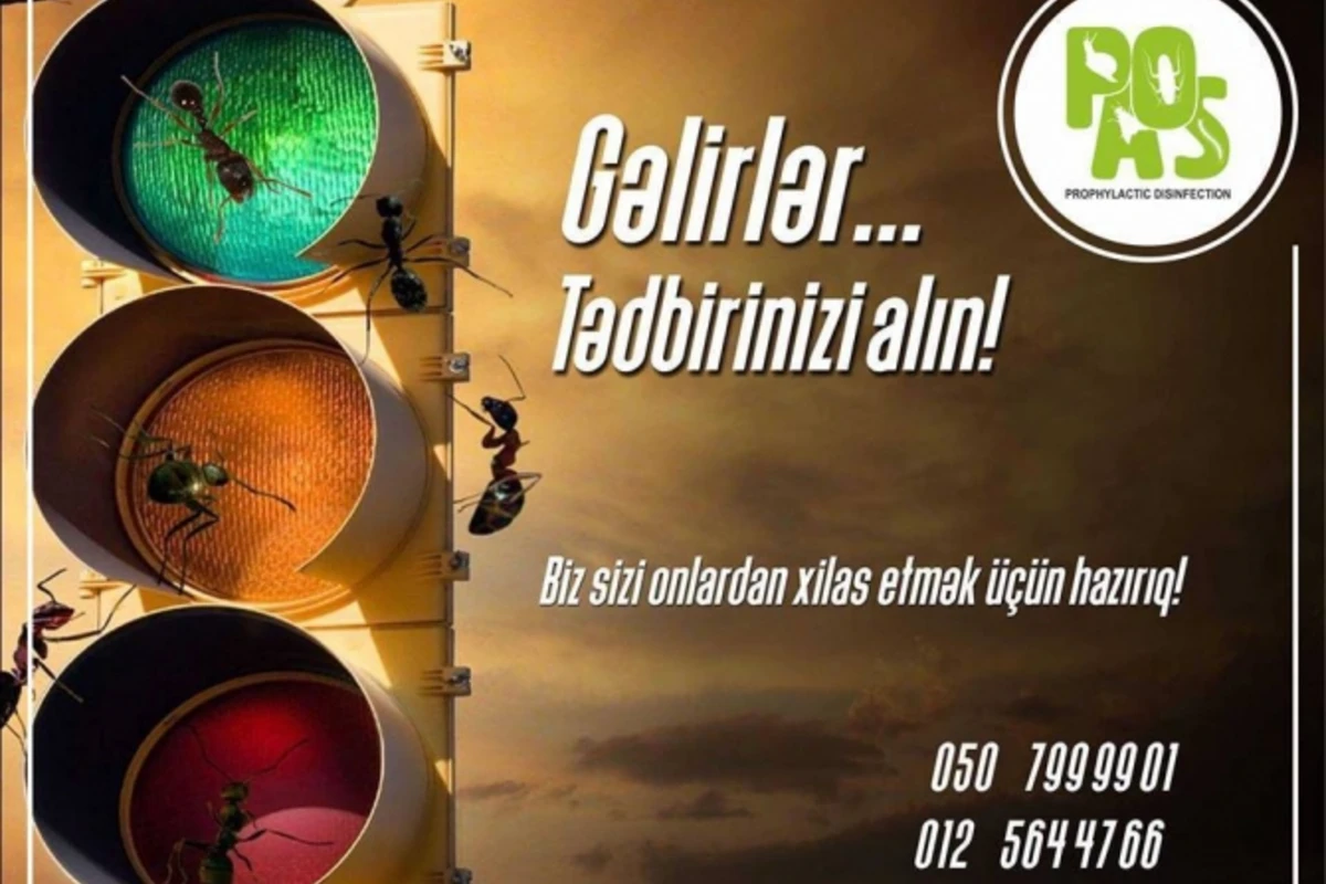 Ziyanvericilərin əlindən bezənlər bu xəbəri oxusun Ziyanvericilərin əlindən bezənlər bu xəbəri oxusun