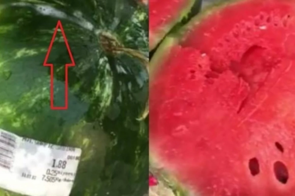 В Баку купленный в маркете арбуз шокировал покупателей (видео) В Баку купленный в маркете арбуз шокировал покупателей (видео)