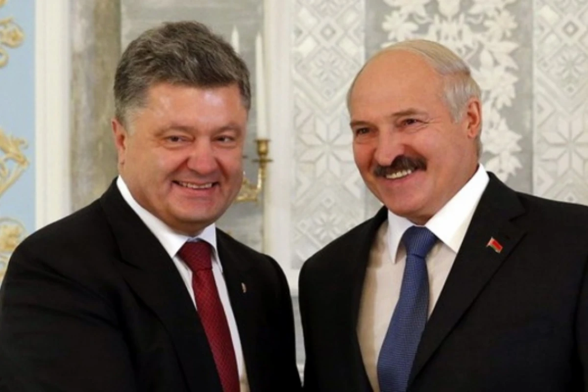 Полуголая девушка пыталась сорвать встречу Порошенко и Лукашенко (видео)
