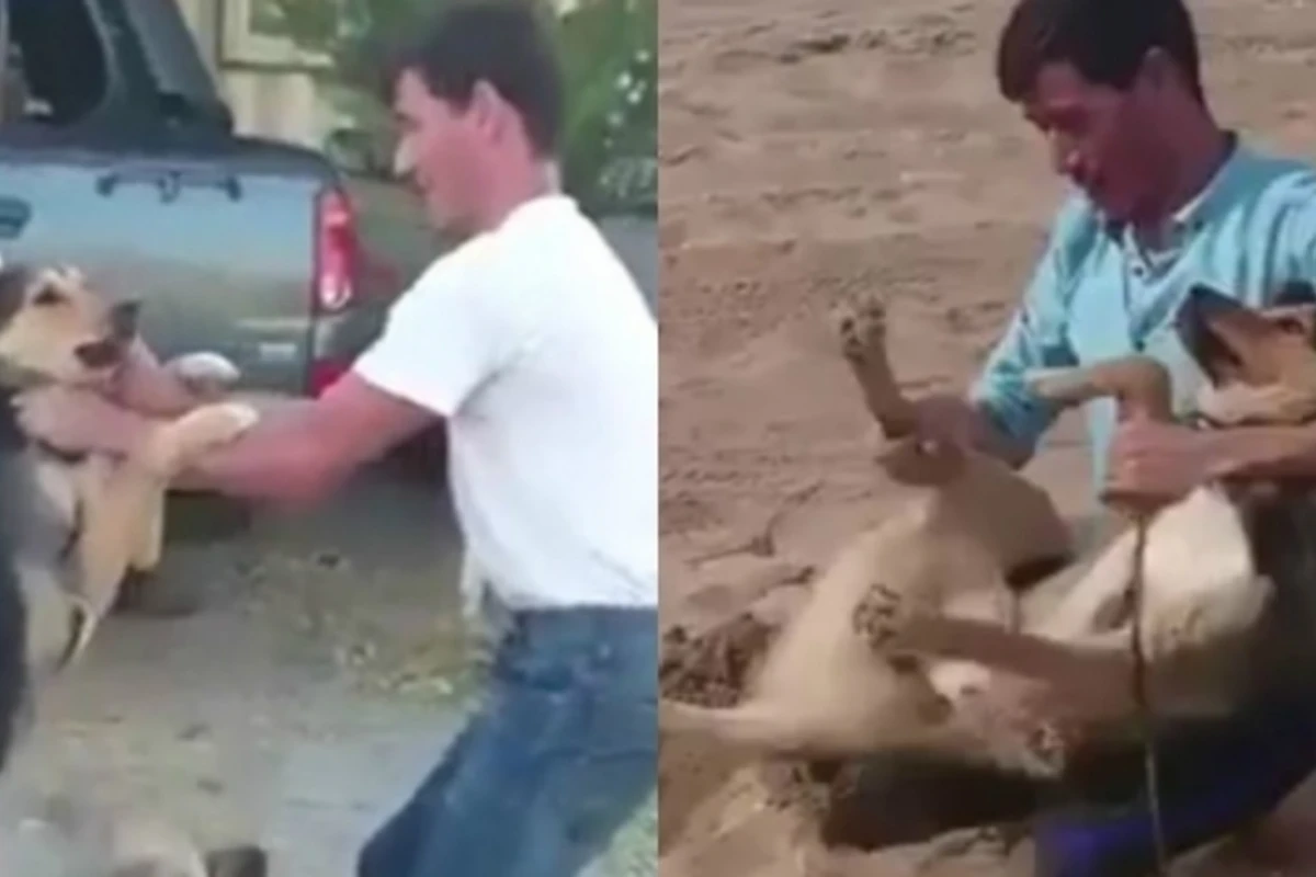 В Баку молодые люди сняли ВИДЕО издевательства над собакой