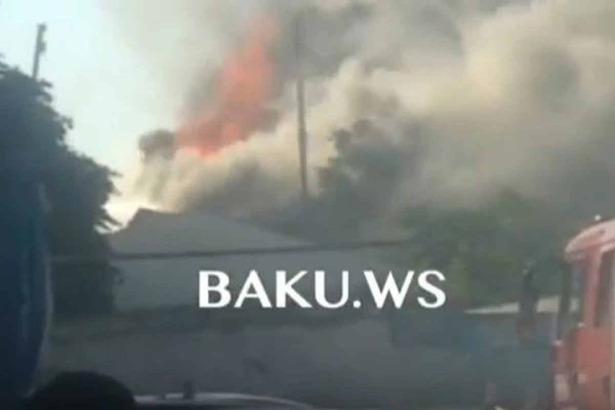 Стало известно число отравившихся во время пожара на заводе Gazelli (видео)