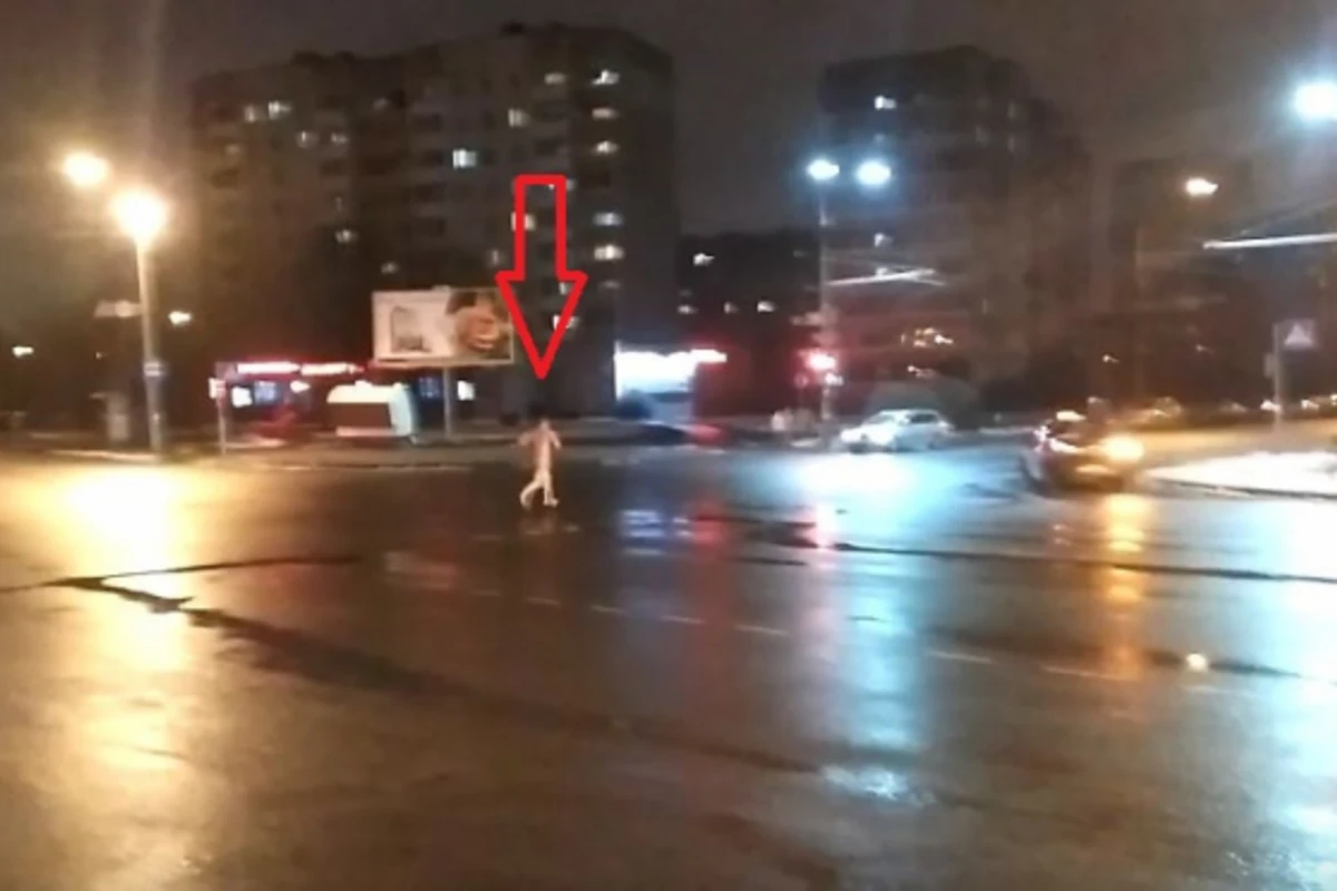 Странное поведение пешехода попало на ВИДЕО