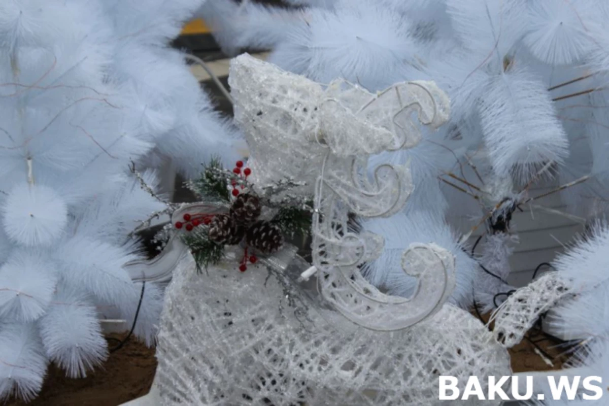 Bakıda ucuz və bahalı yolkaların QİYMƏTLƏRİ (FOTO) Bakıda ucuz və bahalı yolkaların QİYMƏTLƏRİ (FOTO)