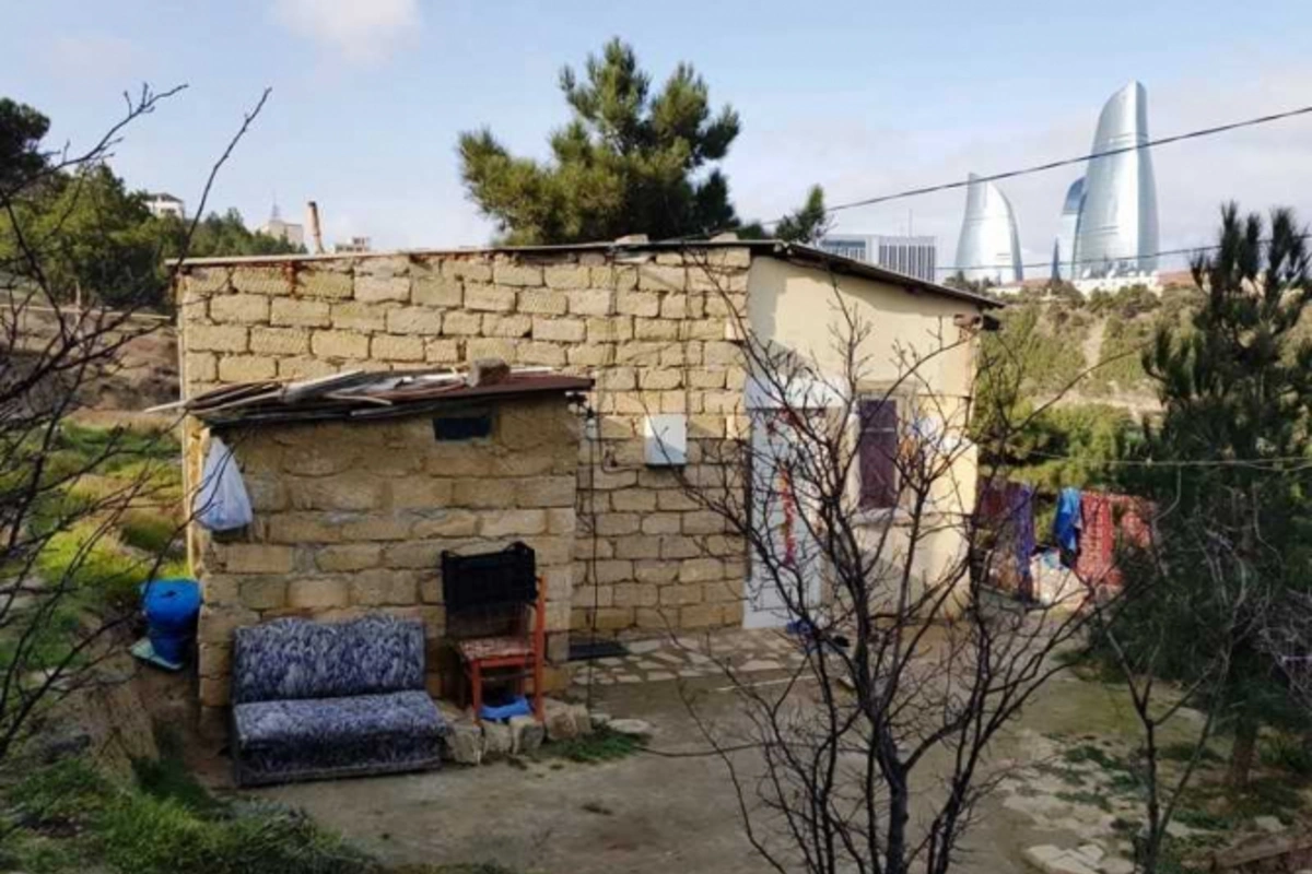 Yaponiyadan Bayıla mütəxəssis çağırıldı  (FOTO)