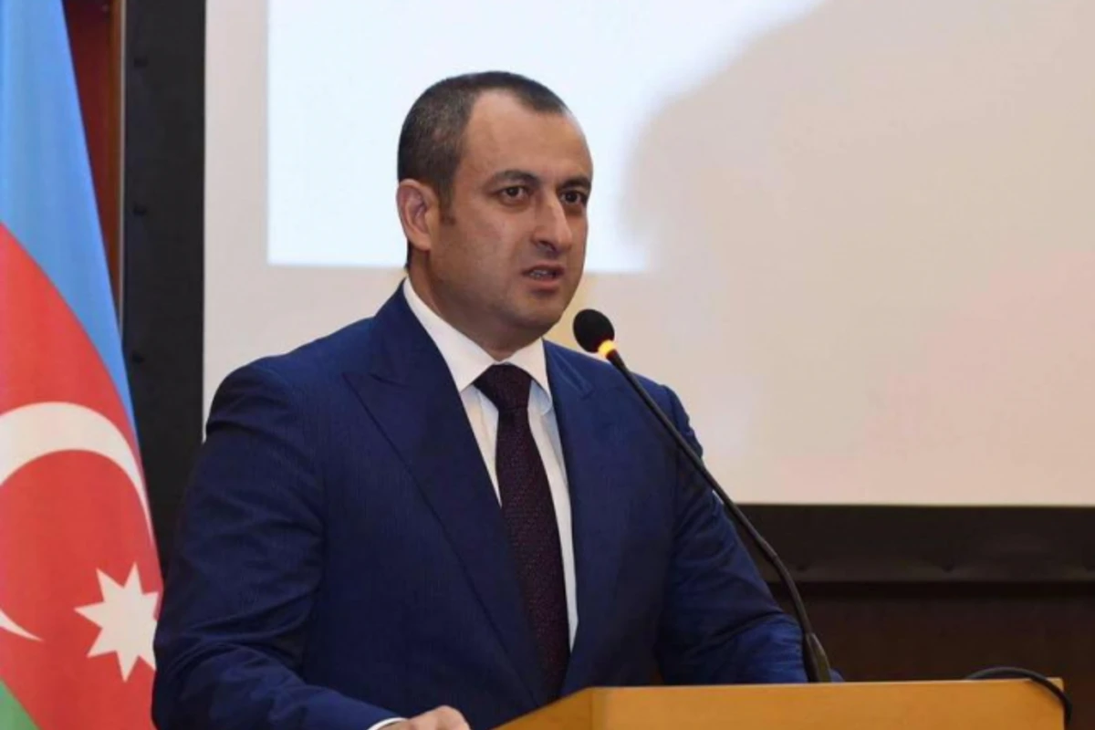 Adil Əliyev: Azərbaycanda quzu kimiydiz, Avropaya köçdüz Əjdahaya döndüz