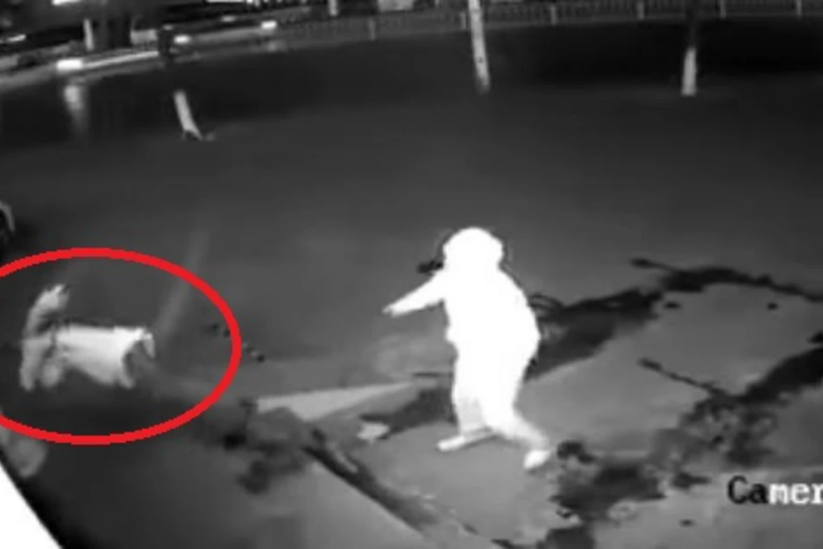 Грабитель целился кирпичом в витрину, а попал в голову другу (видео)
