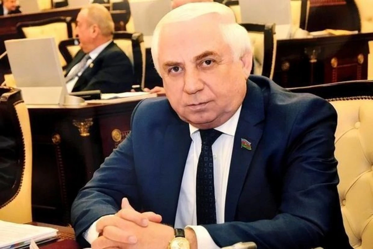 Hadı Rəcəbli: Sosial şəbəkələr nəzarətə götürülməlidir