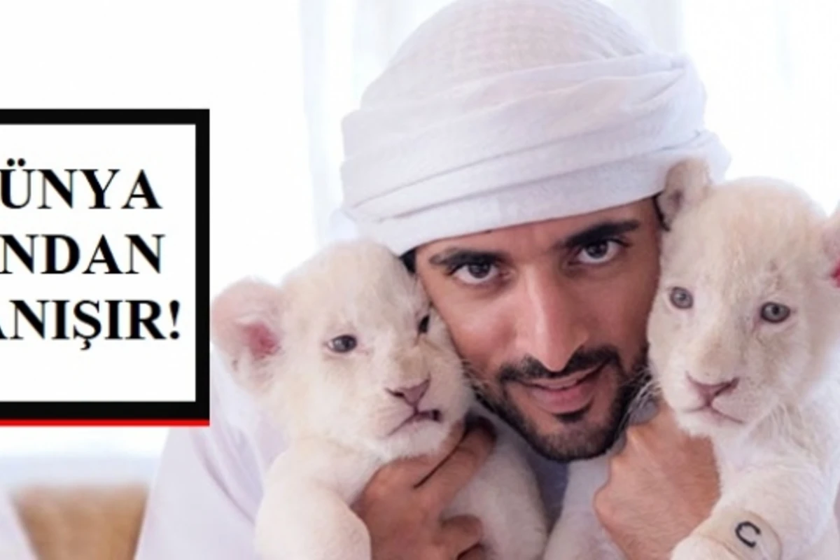 Dubay şeyxinin dəbdəbəli həyatı  - FOTOLAR