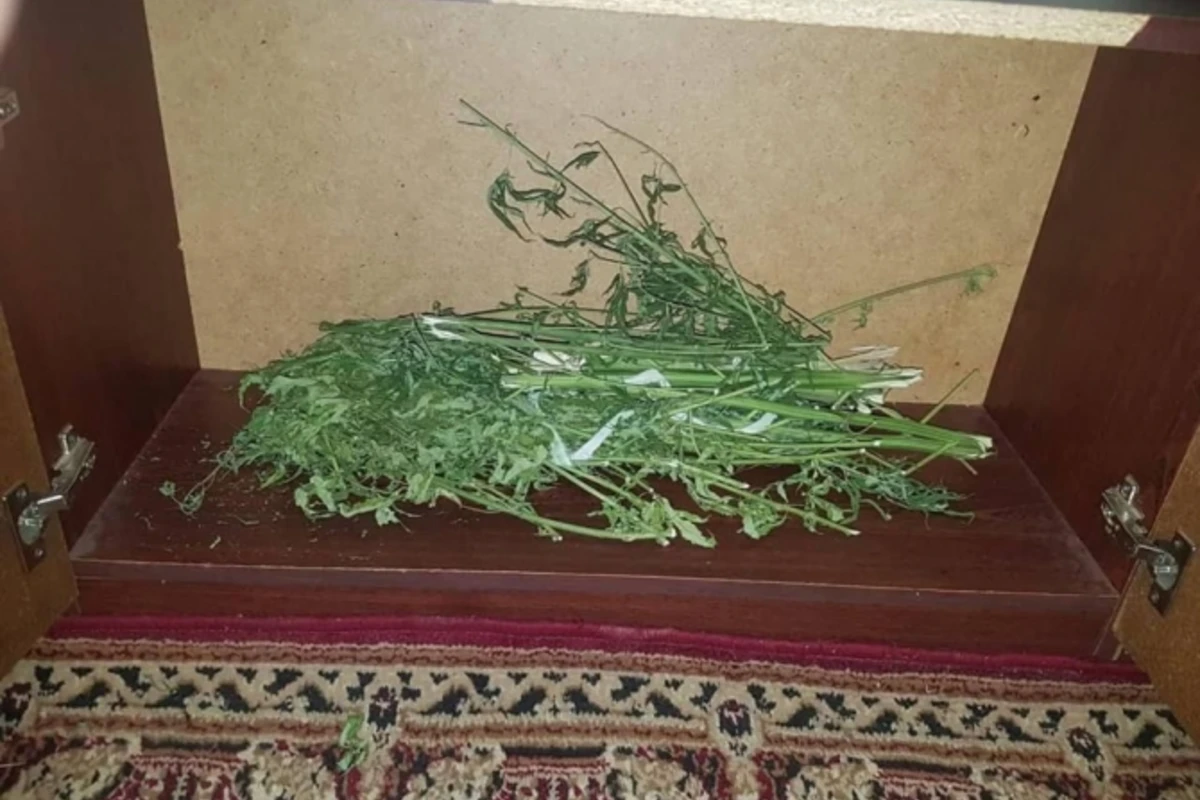 Ağsu sakinindən narkotik götürülüb Ağsu sakinindən narkotik götürülüb