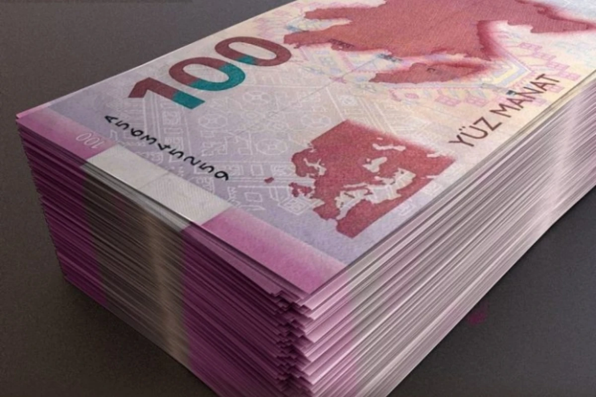 Milli Parka zibil atan şəxs 500 manat cərimələndi