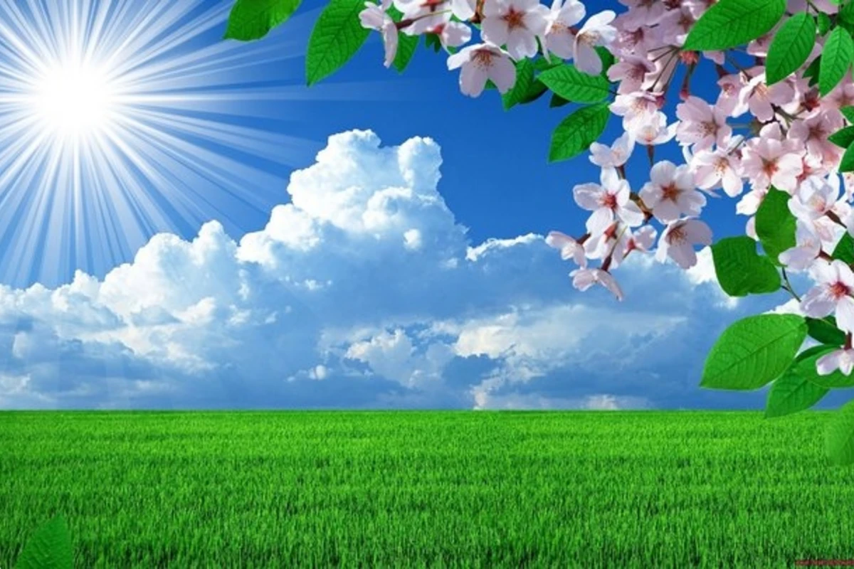 Temperatur düşəcək: Sabaha olan hava proqnozu açıqlanıb