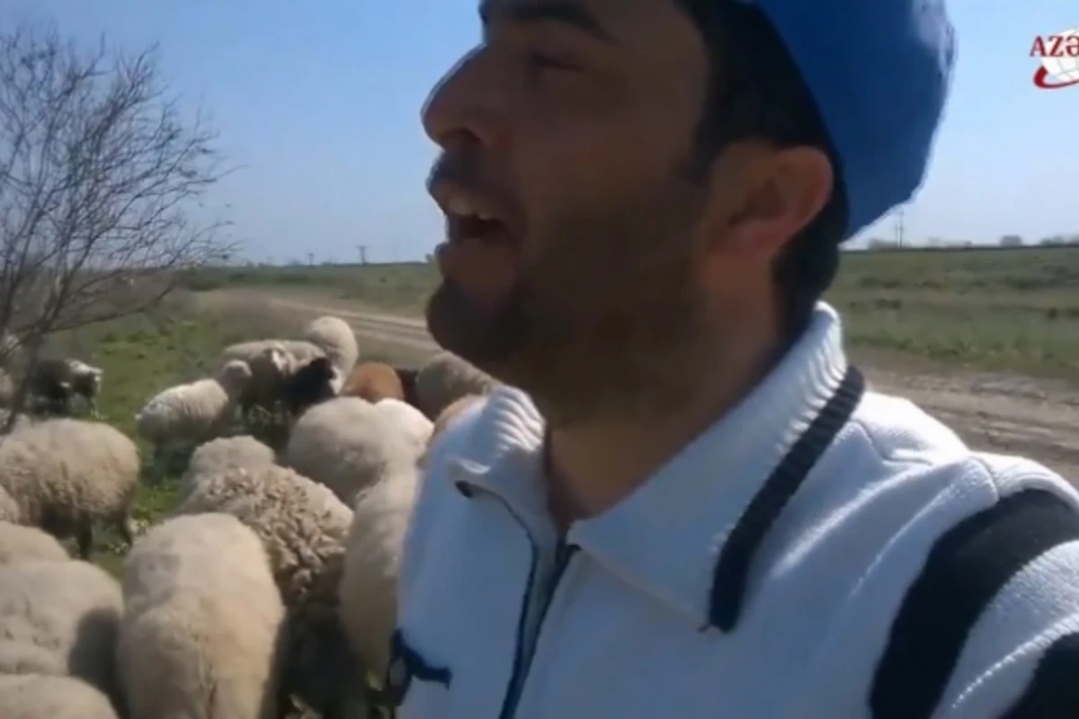 O səs Türkiyə”də uğur qazanan azərbaycanlı çoban bu dəfə tələbə adını qazandı (VİDEO)