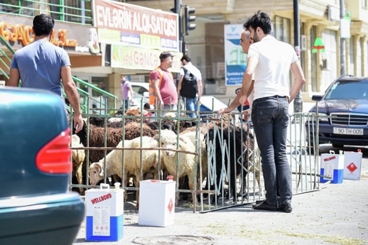 Bakıda qurbanlıq kəsimindən sonra BİABIRÇI MƏNZƏRƏ (VİDEO)