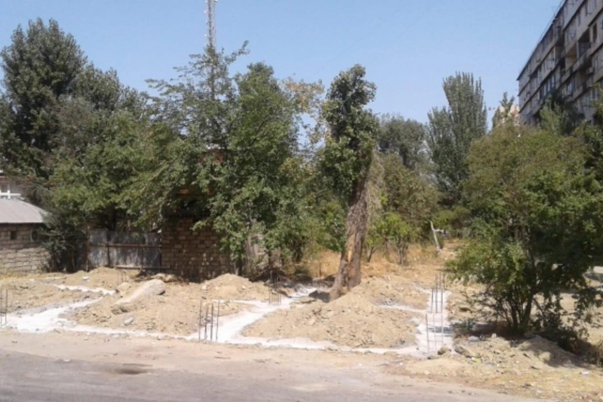 Bakıda yaşıllıq məhv edilir, yerində obyekt tikilir – Nazirlik araşdırmalara başladı (FOTOFAKT)