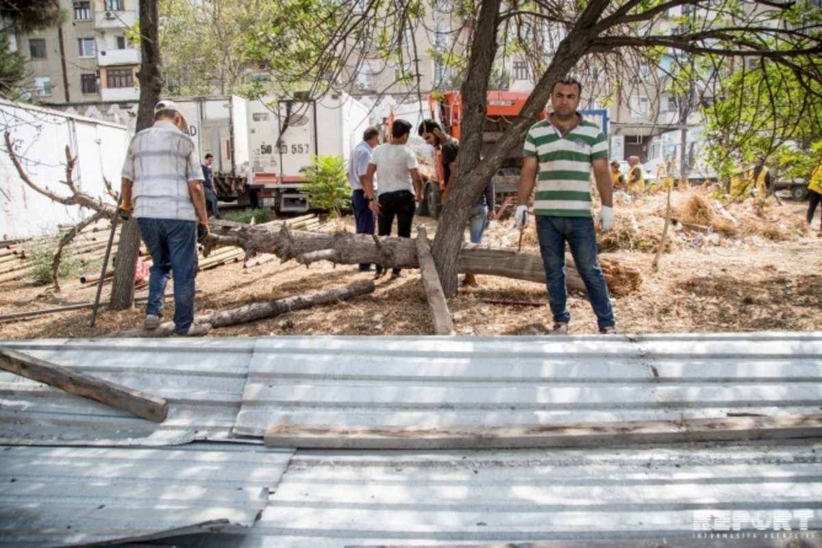 Bakı meriyası 16 torpaq sahəsinin hasarlarını sökdü Bakı meriyası 16 torpaq sahəsinin hasarlarını sökdü