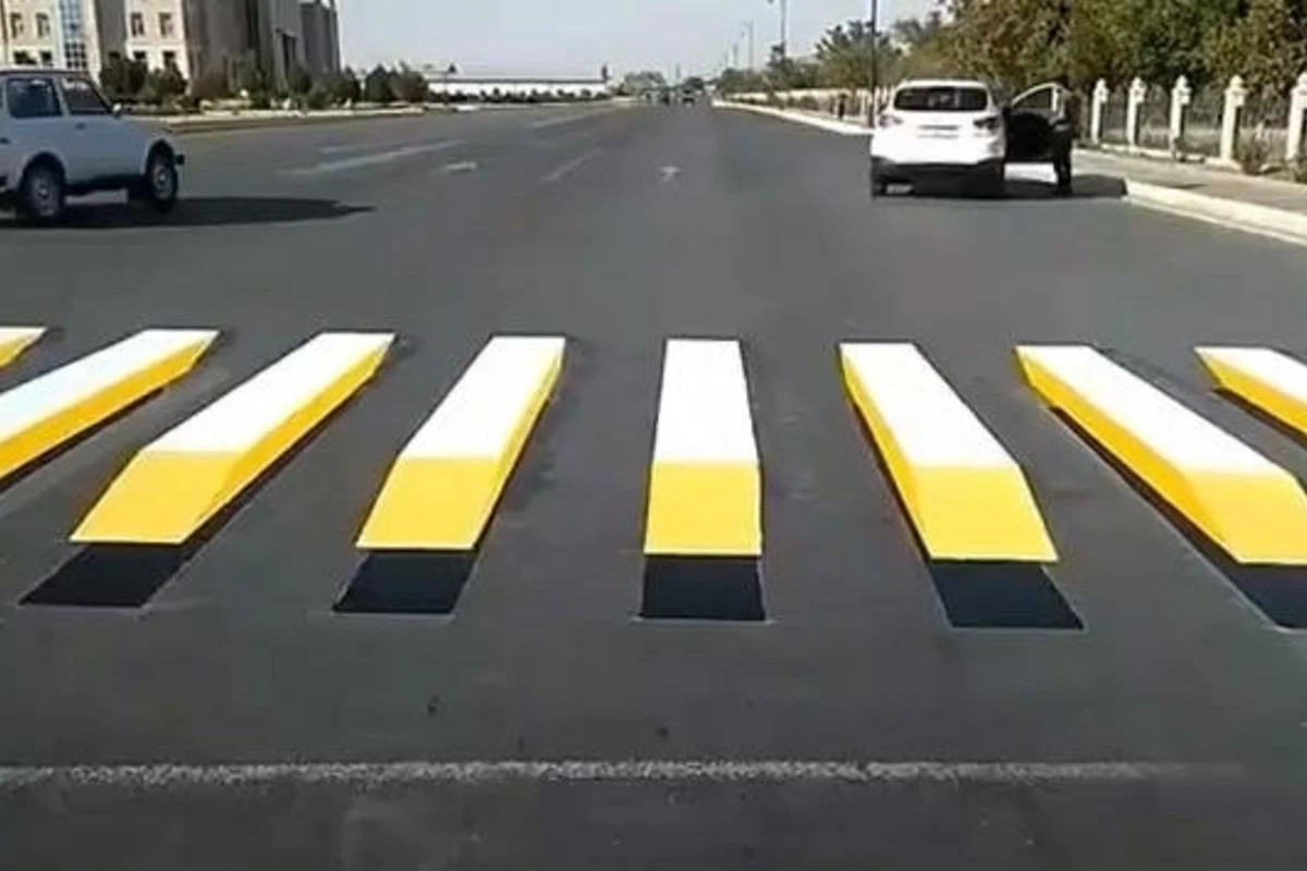 В Азербайджане появилась 3D-зебра- ВИДЕО