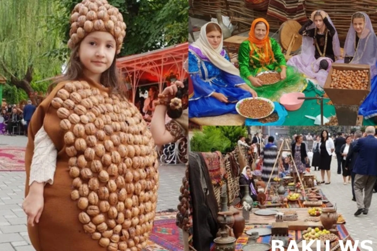 Zaqatalada I Beynəlxalq fındıq, qoz və şabalıd festivalı start götürüb - FOTOLAR + VİDEO
