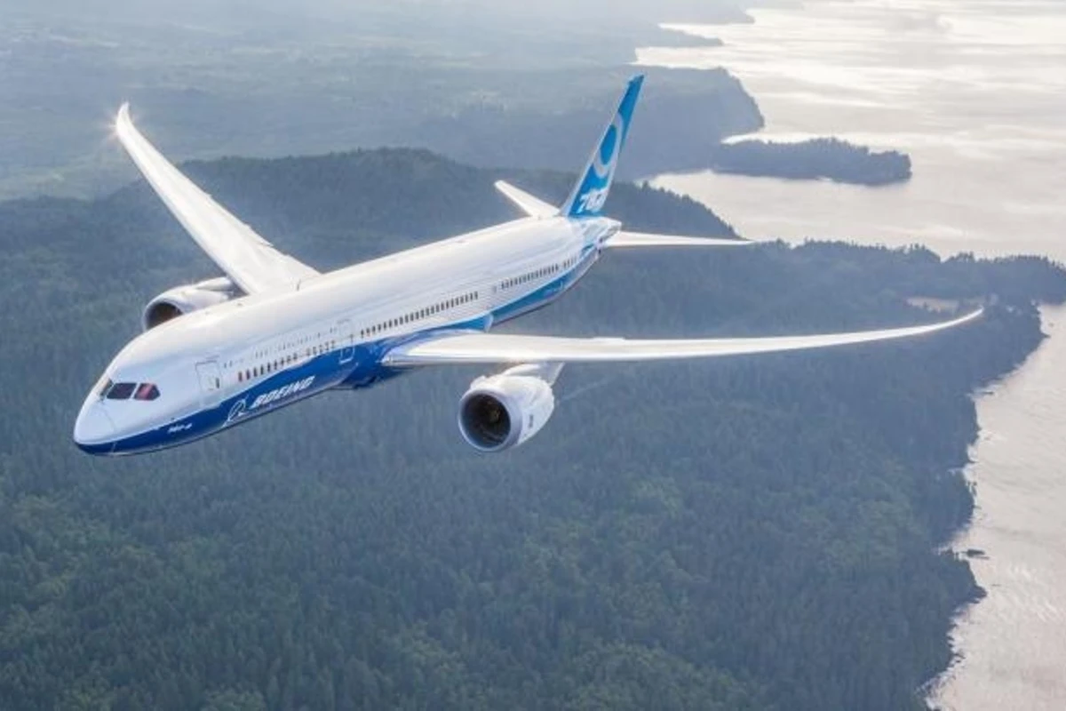 В Индонезии упал в море Boeing, на борту было 189 человек - ВИДЕО
